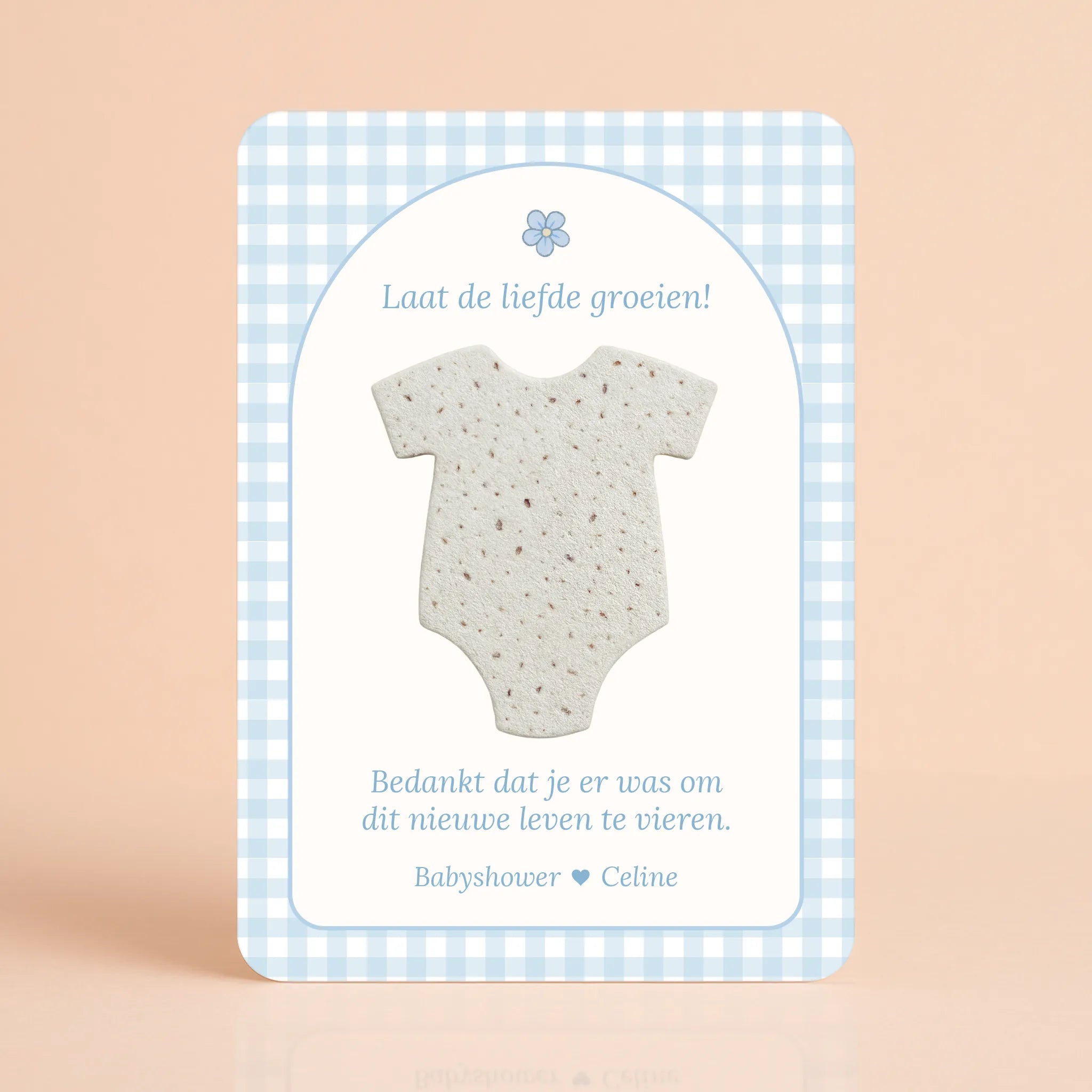 Zaadpapier Rompertje Cadeau | Gingham Blauw