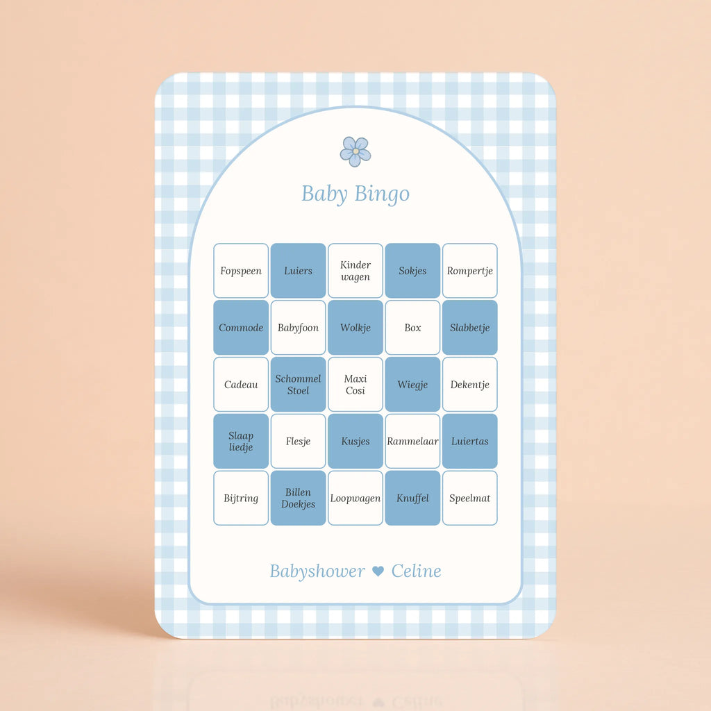 Baby Bingo | Gingham Blauw