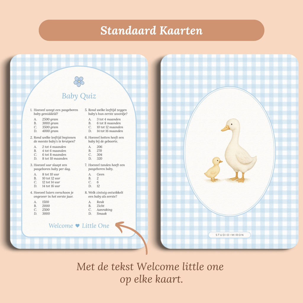 Babyshower spelletjes baby quiz gingham blauw standaard voor en achter Studio Miron
