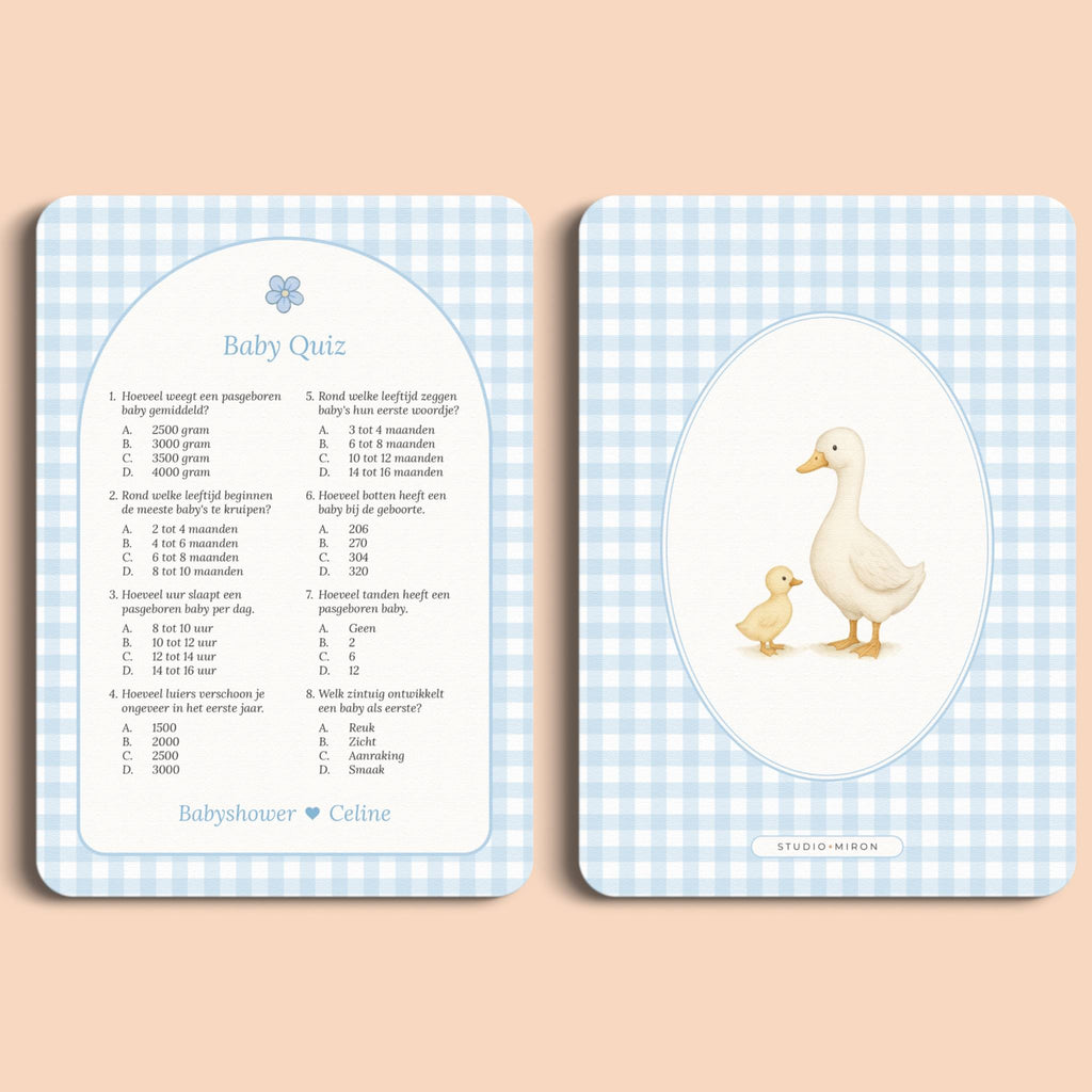 Baby Quiz | Gingham Blauw