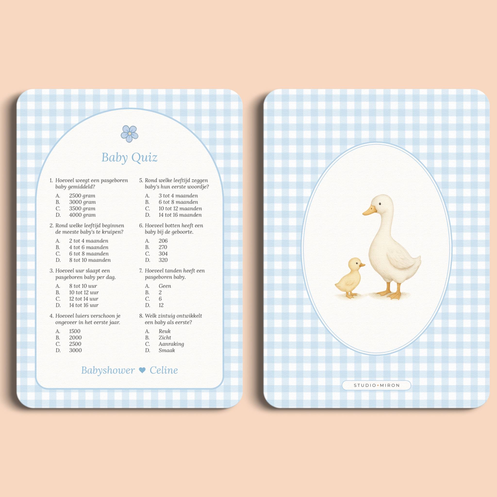 Baby Quiz | Gingham Blauw