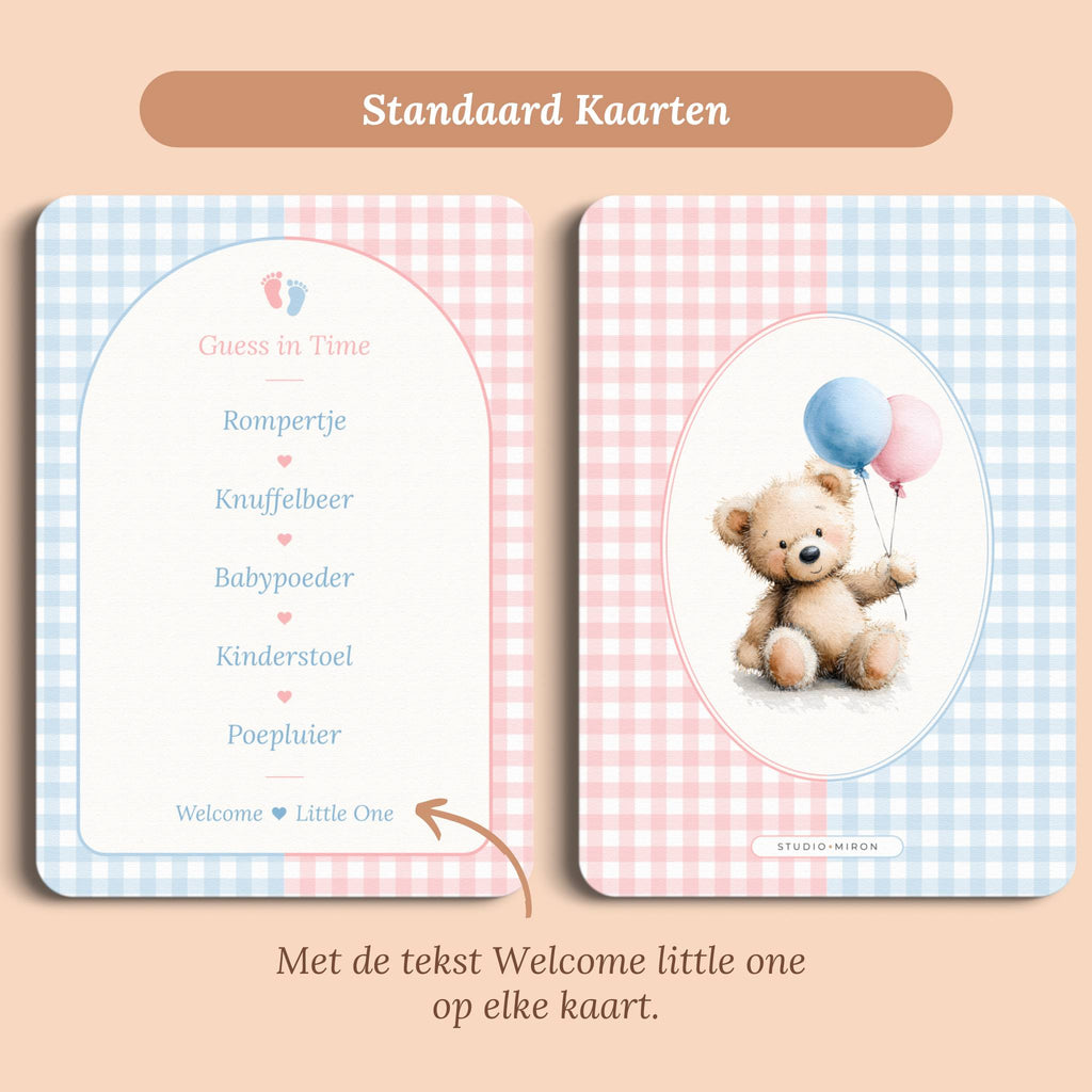 Babyshower spelletjes guess in time gingham roze blauw standaard voor en achter Studio Miron