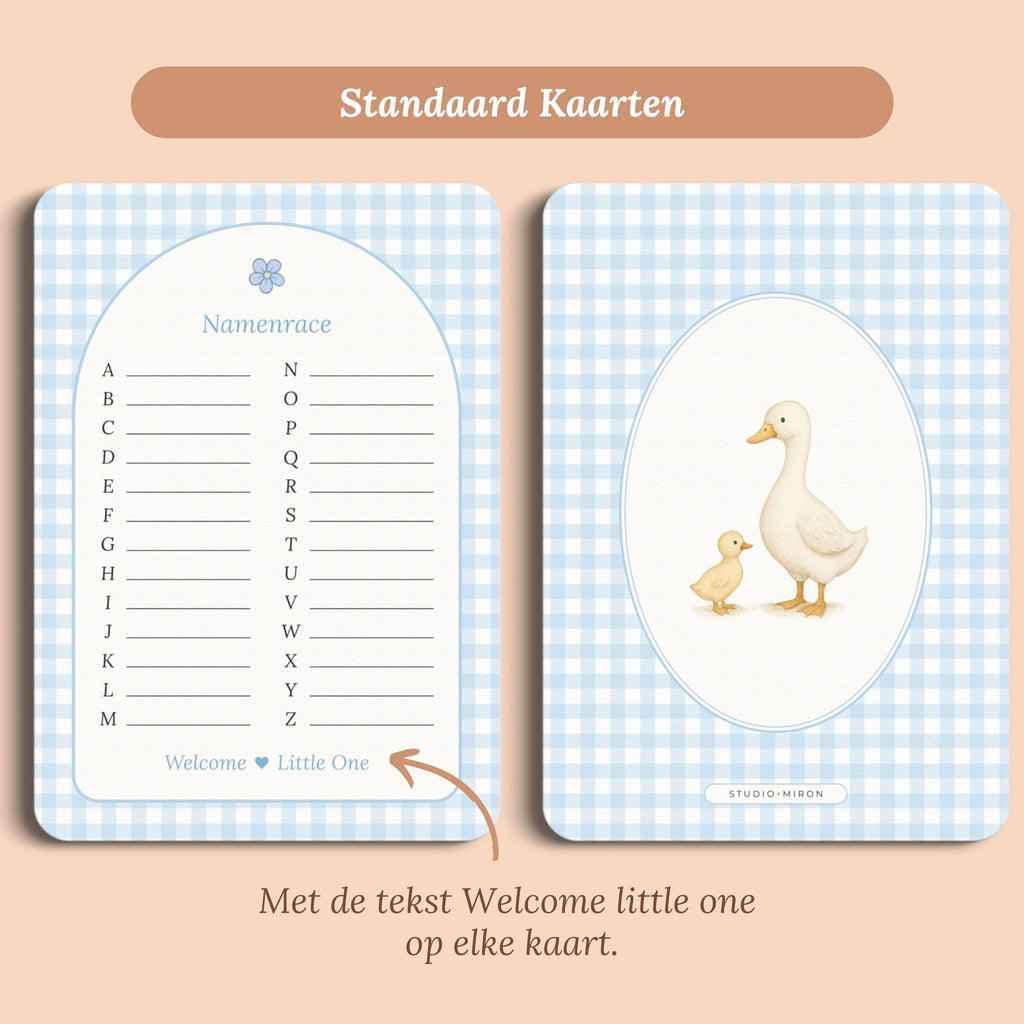 Babyshower spelletjes namenrace gingham blauw standaard voor en achter Studio Miron