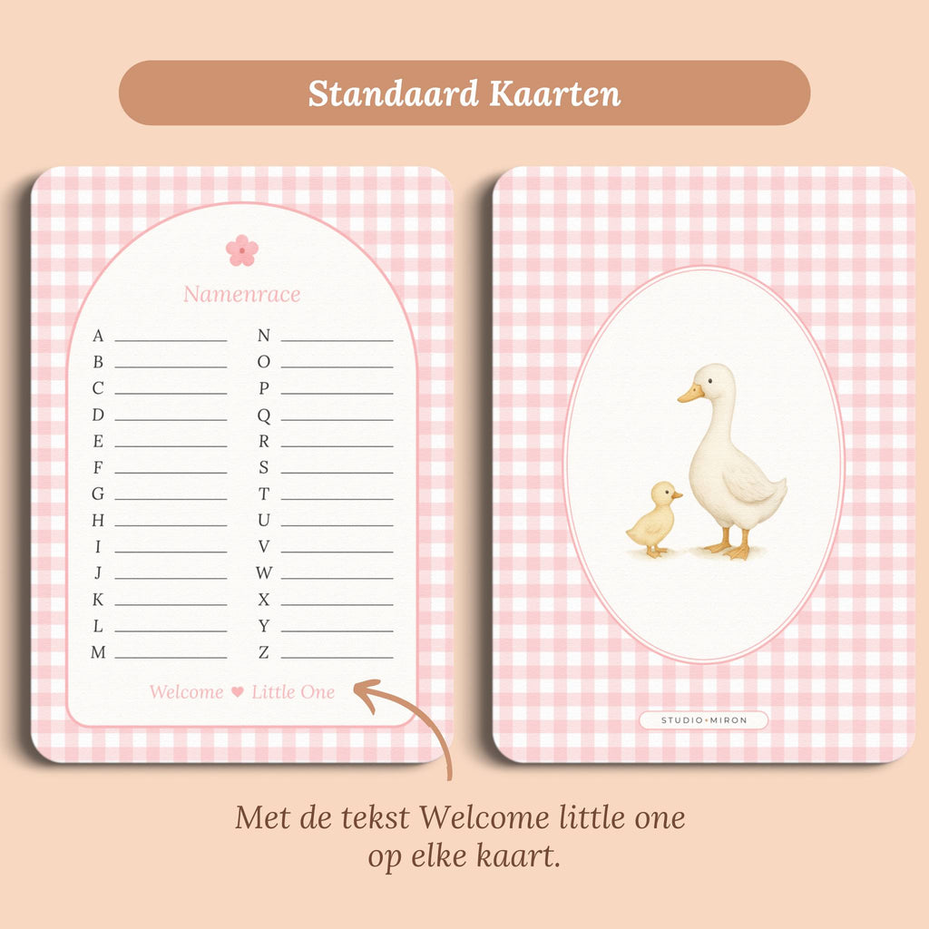 Babyshower spelletjes namenrace gingham roze standaard voor en achter Studio Miron