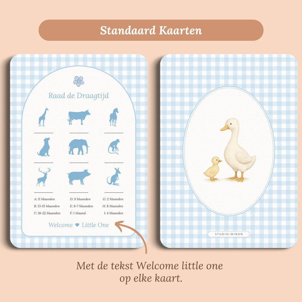 Babyshower spelletjes raad de draagtijd gingham blauw standaard voor en achter Studio Miron