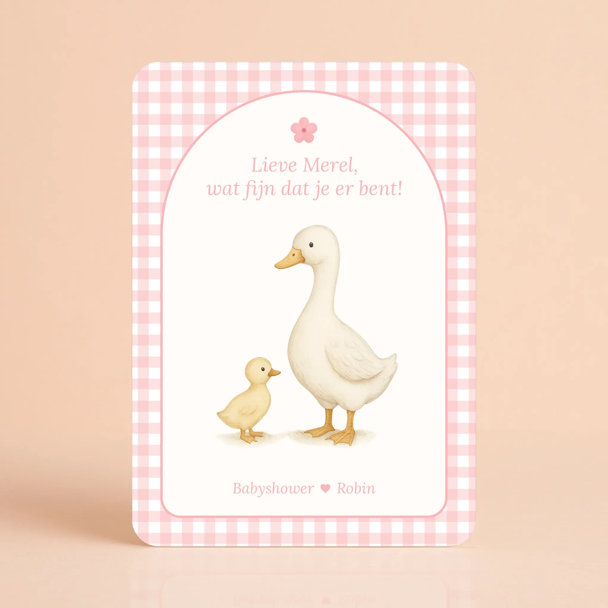 Mini Welkomstbord A6 - Naamkaart | Gingham Roze
